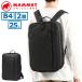 �ő�49%��10/5���� �}���[�g �����b�N�T�b�N �����b�N �����Y ���f�B�[�X ��e�� MAMMUT Seon Transporter 25 �r�W�l�X �ʋ� PC �y�� A4 B4 25L 2510-03911