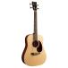 ޡ ƥå١ ץ롼 Martin DJR-10E BASS SP 01
