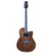 ١ ֥ƥɡץ饹꡼ Ovation Celebrity Standard Plus CS24P-NBMNatmeg Burled Maple NBM CS-24P