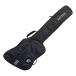 RITTER Thunderbird основа сумка Ritter RGB4-TBB ANT -Thunderbird Bass-