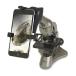 Carson Beginner 40x-400x Student Compound Microscope with Universal Smartphone Digiscoping Adapter (MS-040SP)¹͢