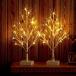 ̲Hairui Pre-lit Tabletop Birch Tree with Timer 24LED 18IN Battery Operated for Christmas Father's Day Party Decoration 2 Sets¹͢