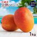  Okinawa производство .. манго 1kg(2~3 шар ). дом для / есть перевод манго сельское хозяйство место прямая поставка 