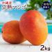  Okinawa производство .. манго 2kg(3~6 шар ). дом для / есть перевод манго сельское хозяйство место прямая поставка 
