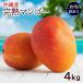  Okinawa производство .. манго 4kg(8~12 шар ). дом для / есть перевод манго сельское хозяйство место прямая поставка 