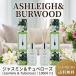 2 шт. комплект ashu Ray & балка дерево жасмин &chu мехи 100ml Lead диффузор Ashleigh&amp;Burwood ароматические средства вход living туалет 