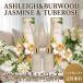 2 шт. комплект ashu Ray & балка дерево жасмин &chu мехи 150ml Lead диффузор Ashleigh&amp;Burwood ароматические средства вход living туалет 