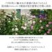 �^�J�V���[ �g�����X �t�F���X �o�� �N���}�`�X �U�� �鐫 �ډB�� �ڂ����� ������� / �f�U�C���g�����X�X���� 1800 /���^ �֘A�摜2