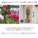 �^�J�V���[ �g�����X �t�F���X �o�� �N���}�`�X �U�� �鐫 �ډB�� �ڂ����� ������� / �f�U�C���g�����X�X���� 1800 /���^ �֘A�摜4