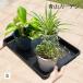 taka шоу лоток для инструментов место хранения tray кейс двор сад / садоводство tray S / маленький размер 