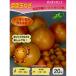  осень .. луковица овощи луковица Home tama лук-батун примерно 20 лампочка ~.. шар лук порей семена здоровье овощи 