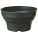 . type pot f ноги la- мяч 24 type DG темно-зеленый ~ мяч посадочная машина декоративное растение из .. до простой . стиль 