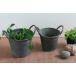  жестяная пластина руль pot L размер BAGP1003L прозрачный PVC pot имеется ~ изображение большой person обе ручка есть ведро 