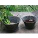  жестяная пластина руль ведро L размер BAGP1004L прозрачный PVC pot имеется ~ изображение большой person обе ручка есть ведро посадочная машина 