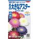  цветок семена цветок. большой астер ...XL смешивание sakata. tane сельское хозяйство . вода производство . товар вид регистрация регистрация товар вид название SAKAST053 SAKAST054 SAKAST055 SAKAST056 SAKAST060 за границей .. запрет 