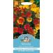[ семена ]Mr.Fothergill's Seeds Mimulus Extra Choice Mixedmi пятно s* extra *cho стул * Mix Mr. *fo The -giruzsi-do