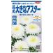  цветок семена цветок. большой астер ...XL белый sakata. tane сельское хозяйство . вода производство . товар вид регистрация регистрация товар вид название SAKAST056 за границей .. запрет ( сельское хозяйство . вода производство большой ... иметь )