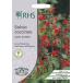 ڼҡMr.Fothergill's Seeds Royal Horticultural Society Salvia coccinea LADY IN RED RHS ӥ ǥ󡦥å ߥե륺