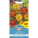 ڼҡMr.Fothergill's Seeds Cosmos Klondyke Mixed ⥹ ߥå ߥե륺