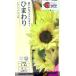  цветок семена подсолнух F1 солнечный Ricci banana 50takii вид рассада. tane