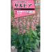  цветок семена sa рубин a Sakura тянуть kotakii. tane сельское хозяйство . вода производство . товар вид регистрация товар вид номер :24474 товар вид название :TL589