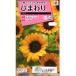  цветок семена подсолнух Sony atakii вид рассада. tane
