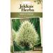 [ семена ]Johnsons Seeds Jekka's Herbs Welsh Onionjekaz* трава s well shu*oni on Johnson zsi-do
