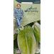 �ڼ�ҡ� Mr.Fothergill's Seeds david domoney LETTUCE COS Gellbus �ǥ������åɡ��ɥ�ˡ� �쥿�� ���� ����Х� �ߥ��������ե��������륺������