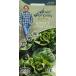 �ڼ�ҡ� Mr.Fothergill's Seeds david domoney LETTUCE Little Gem �ǥ������åɡ��ɥ�ˡ� �쥿�� ��ȥ롦������ �ߥ��������ե��������륺������