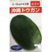  овощи семена Okinawa tou gun sbi Futaba вид рассада. tane