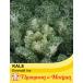 [ семена ] Thompson &amp; Morgan Kale 'Emerald Ice' кудрявая капуста изумруд I камень pson& Morgan 