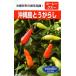  овощи семена Okinawa остров перец стручковый Futaba вид рассада. tane