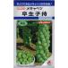  овощи семена me капуста . сырой ..takii вид рассада. tane
