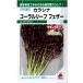  овощи семена kalasina коралл leaf перо takii вид рассада. tane сельское хозяйство . вода производство . регистрация товар вид название :TTK457