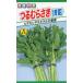  овощи семена здоровье овощи ......( синий стебель )to- ho k. tane