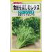  овощи семена еда чувство . приятный lettuce зеленый Ricci to- ho k. tane