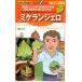  овощи семена Gusto Italia цветная капуста машина vorufi ole (romanesko модель )mike Lingerie rotokita вид рассада. tane