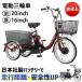 ưž ž ư ưؼ ưȼž 8AH  16 TDR-163 PELTECH ڥƥå (Բ)