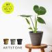 �A�ؔ� �v�����^�[ amabro �A�}�u�� ARTSTONE �A�[�g�X�g�[�� �R�j�b�NXS ���a17cm�T�C�Y 5������ �󂯎M�Z�b�g