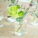 HARIO �g�[���r�[�J�[ 500mL