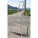 ���@�l�l���肨�͂������|�p�A���~�O�r�@8�ځ@��2.4m�@240cm�@�V���Z�C�@56063