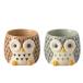 [ сова ] little resin pot 1 номер горшок 2 шт. комплект птица суккулентное растение Mini посадочная машина поли resin бардачок симпатичный ширина 5* глубина 5* высота 4.5cm