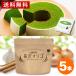  length .oligo260g 5 piece set powdered green tea baumkuchen Father's day present confection powdered green tea sweets oligo sugar length .oligo sugar flaktooligo sugar powder free shipping 