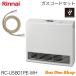 Rinnai Rinnai Standard стандартный газовый тепловентилятор RC-U5801PE-WH газ код комплект 
