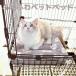  кошка bed домашнее животное bed коврик клетка зимний кошка для bed кошка товары подушка спальное место мера .. кошка ...