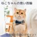  кошка ошейник форма кошка. ошейник модный кошка для . кошка лента .. кошка домашнее животное симпатичный Корея .. Insta популярный 