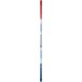  Royal Collection Royal Collection TRI-ONE STICK PLUS 45 Try one палочка плюс 45