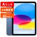 Apple åץ iPad 10   Ѥ  256GB Wi-Fiǥ ֥롼 ԥ С 
