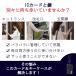 �L�[�P�[�X ���[�� �����h�Z�� ���[���t���L�[�P�[�X �q�� ���w�� �q�ǂ� �j�̎q ���ǂ� �L�b�Y �W���j�A �j�q �����Y ��� �J�[�h�L�[ �����Ȃ� ���[���t�� �� �֘A�摜1
