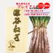 [ зима подарок ] Fukaya лук порей premium [ включая доставку .. для время ограничено :12 месяц отгрузка предположительно ]